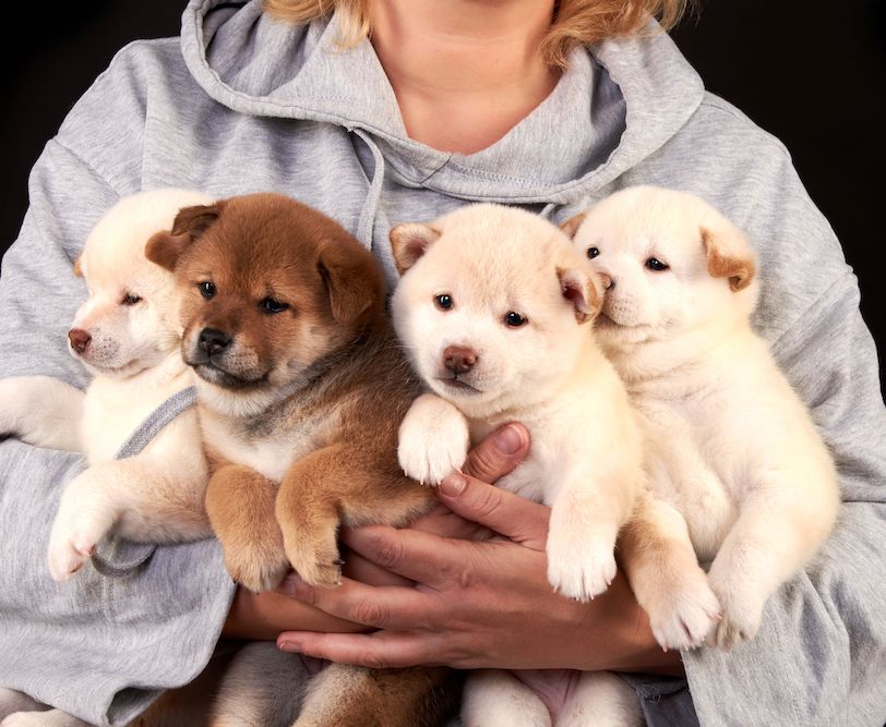 Question of the Week